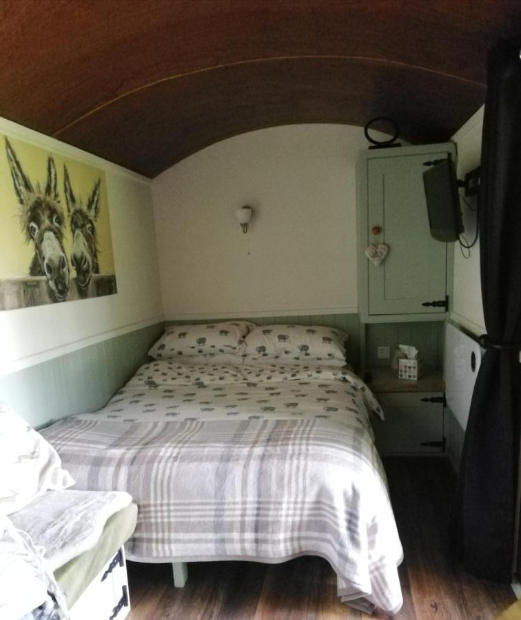 Hotel Durham Donkey Rescue Shepherd'S Hut Exterior foto