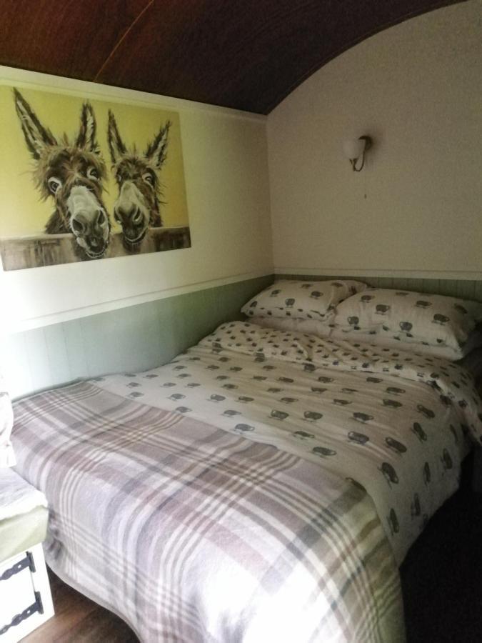 Hotel Durham Donkey Rescue Shepherd'S Hut Exterior foto