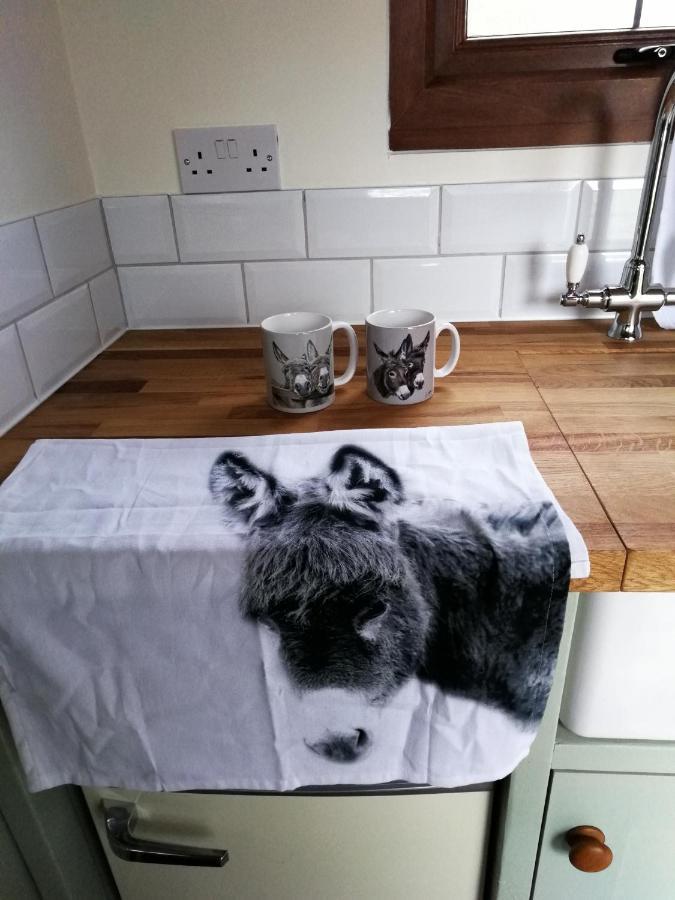 Hotel Durham Donkey Rescue Shepherd'S Hut Exterior foto