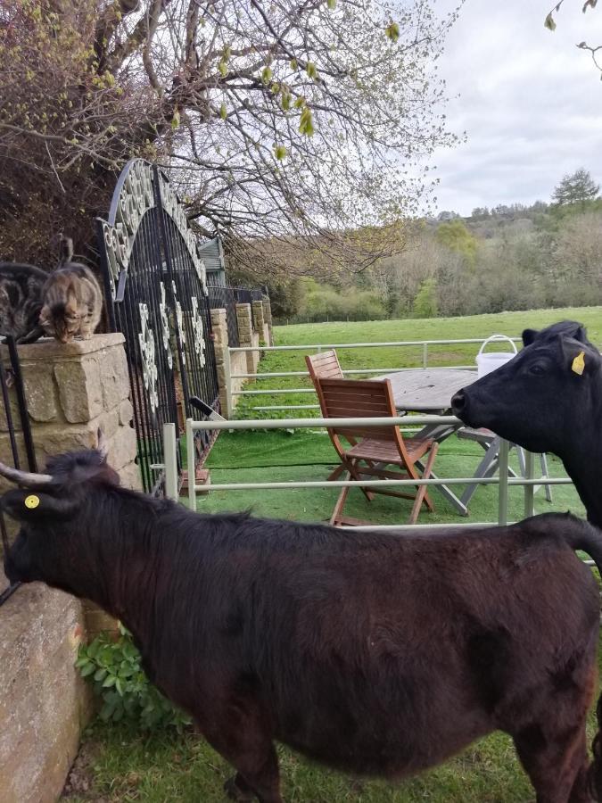 Hotel Durham Donkey Rescue Shepherd'S Hut Exterior foto